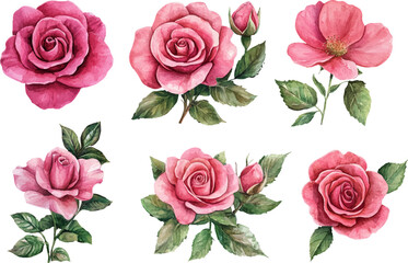 Fototapeta premium seamless pattern with roses