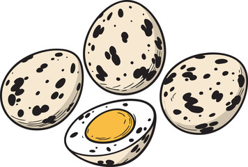 Quail Eggs Vector Illustration – Speckled Eggs Drawing Clipart