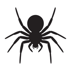 Spider Silhouette - Creepy Crawlies and Insect Vector