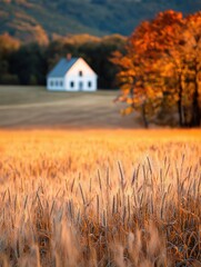 Landscape photograph of a field of tall, golden wheat plants. the field is surrounded by trees with orange and yellow leaves, indicating that it is autumn.