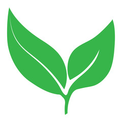 Green leaf with branch  vector design. 