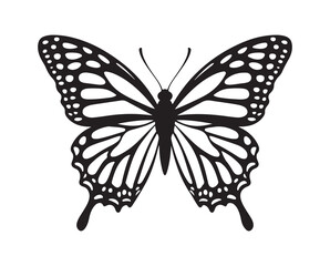 Butterfly vector illustration eps 10