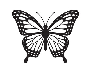 Butterfly vector illustration eps 10