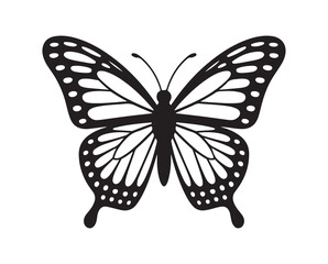 Butterfly vector illustration eps 10