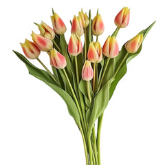 Naklejka premium Beautiful Watercolor Flower Bouquet Set – Floral Elements and Leaves Illustration | Hand-painted Watercolor Art