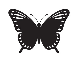 Butterfly vector illustration eps 10