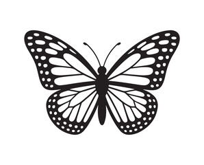 Butterfly vector illustration eps 10