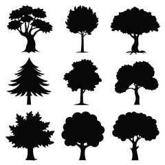 Vector silhouette of tree on white background.