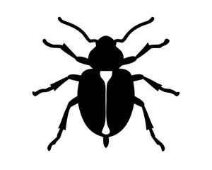 Beetle silhouette in white background