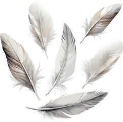 Obraz premium Flying feathers pastel colors watercolor vector illustration set