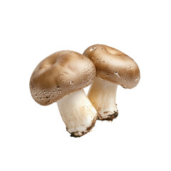Two Fresh Brown Mushrooms Isolated on Transparent Background