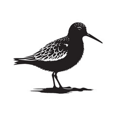 Obraz premium Dunlin Bird Silhouette - Minimalist Dunlin Vector - Dunlin Illustration - Black and White Dunlin Design.