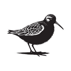 Dunlin Bird Silhouette - Minimalist Dunlin Vector - Dunlin Illustration - Black and White Dunlin Design.
