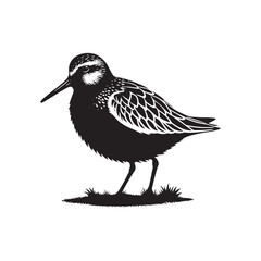 Obraz premium Dunlin Bird Silhouette - Minimalist Dunlin Vector - Dunlin Illustration - Black and White Dunlin Design.