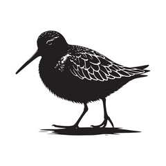 Dunlin Bird Silhouette - Minimalist Dunlin Vector - Dunlin Illustration - Black and White Dunlin Design.