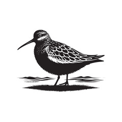 Dunlin Bird Silhouette - Minimalist Dunlin Vector - Dunlin Illustration - Black and White Dunlin Design.