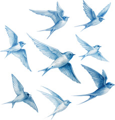 Set of flying swallows birds vector hand painted monochrome illustration