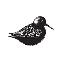 Dunlin Bird Silhouette - Minimalist Dunlin Vector - Dunlin Illustration - Black and White Dunlin Design.