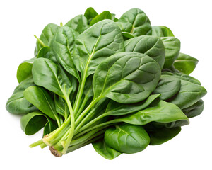 spinach leaves isolated on white background