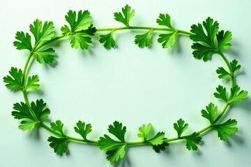 Fototapeta premium Delicate parsley sprigs forming a natural design, ingredient, background