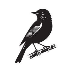 Eastern bluebird Silhouette - Eastern bluebird Vector - Illustration of Eastern bluebird - Eastern bluebird Black and white Art.