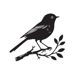 Eastern bluebird Silhouette - Eastern bluebird Vector - Illustration of Eastern bluebird - Eastern bluebird Black and white Art.