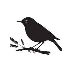 Eastern bluebird Silhouette - Eastern bluebird Vector - Illustration of Eastern bluebird - Eastern bluebird Black and white Art.
