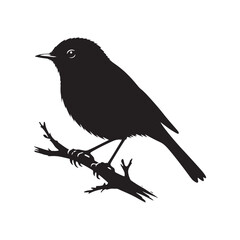 Eastern bluebird Silhouette - Eastern bluebird Vector - Illustration of Eastern bluebird - Eastern bluebird Black and white Art.