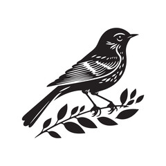 Eastern bluebird Silhouette - Eastern bluebird Vector - Illustration of Eastern bluebird - Eastern bluebird Black and white Art.