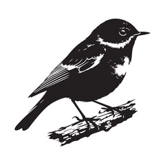 Eastern bluebird Silhouette - Eastern bluebird Vector - Illustration of Eastern bluebird - Eastern bluebird Black and white Art.