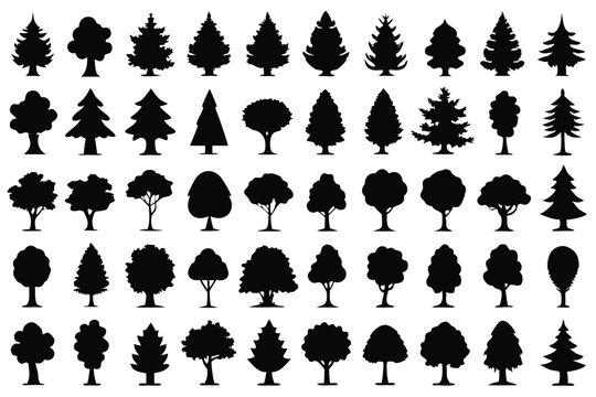 Even More Ultimate Tree collection, 100 detailed, different tree vectors. Evergreen forest firs and spruces black shapes, wild nature trees templates. Vector illustration woodland trees set.