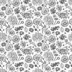 Vector seamless pattern with flowers