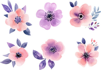 collection of flowers