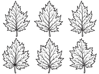  Beech leaf line art elegant minimal nature inspired wall design