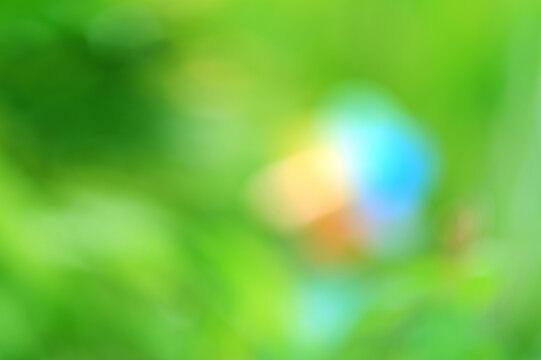 Green Leaf background. Blurred leaves and circular bokeh. Abstract wallpaper for backdrop and design