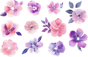 collection of flowers