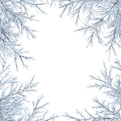 Frozen Branches Winter Frame