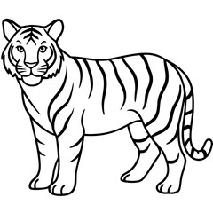 Obraz premium Majestic Tiger Outline