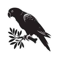 Eclectus Parrot Silhouette - Minimalist Parrot Vector - Black and White Parrot Illustration.