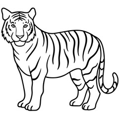 Majestic Tiger Outline