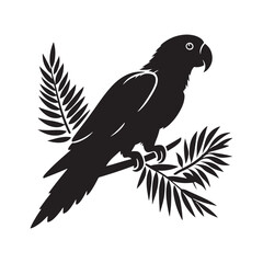 Eclectus Parrot Silhouette - Minimalist Parrot Vector - Black and White Parrot Illustration.