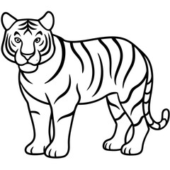 Majestic Tiger Outline