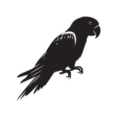 Eclectus Parrot Silhouette - Minimalist Parrot Vector - Black and White Parrot Illustration.