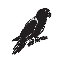 Eclectus Parrot Silhouette - Minimalist Parrot Vector - Black and White Parrot Illustration.