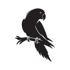 Eclectus Parrot Silhouette - Minimalist Parrot Vector - Black and White Parrot Illustration.