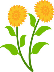 Vector flat illustration of organic spring flowers with soft colors. Perfect for invitations, packaging, branding, greeting cards, and decorative seasonal designs.