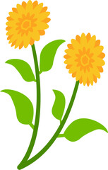 Vector flat illustration of organic spring flowers with soft colors. Perfect for invitations, packaging, branding, greeting cards, and decorative seasonal designs.