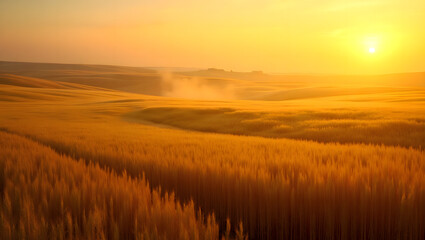 Obraz premium Beautiful sunrise over the field