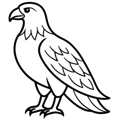 Minimalist Eagle Line Art Vector