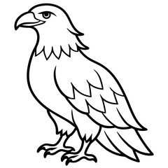 Minimalist Eagle Line Art Vector